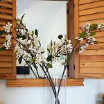 Apartament Isminis House